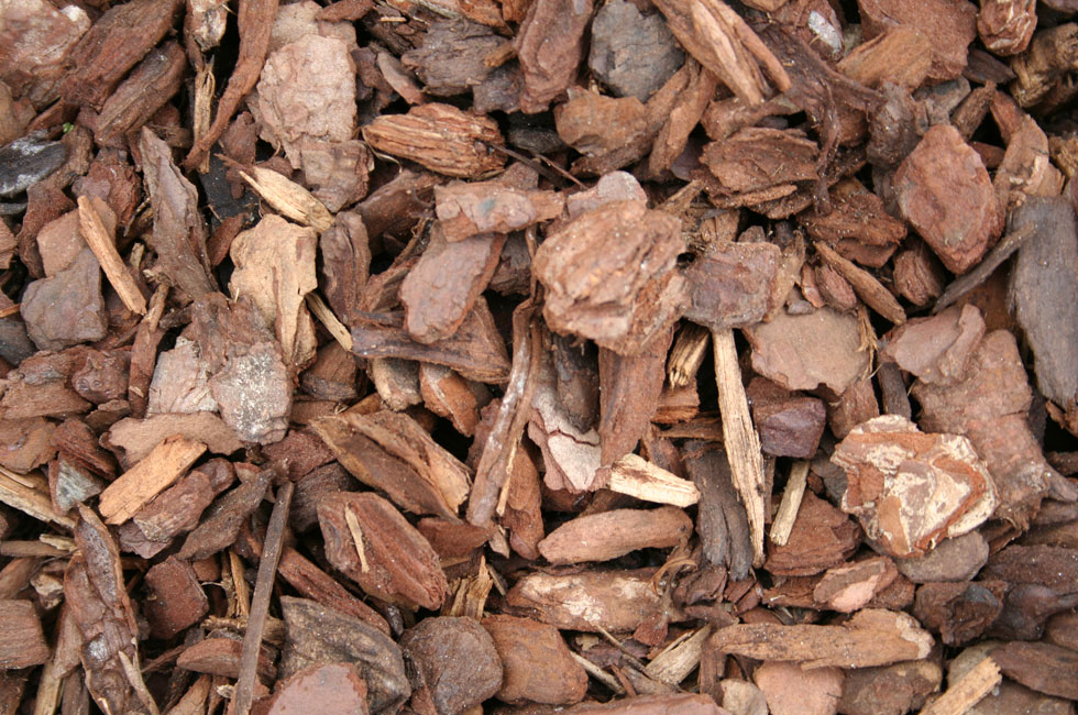 bark chippings