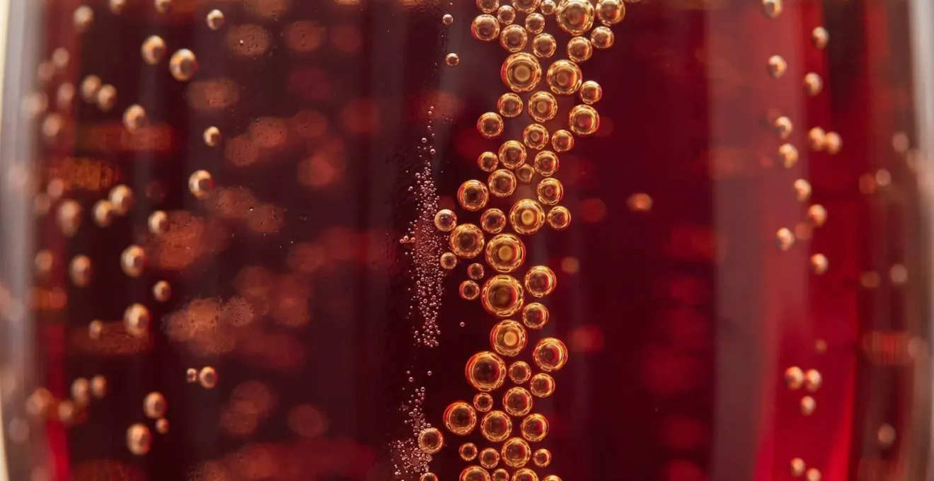 Dettaglio microscopico delle bollicine di CO2 nel Lambrusco che salgono nel bicchiere